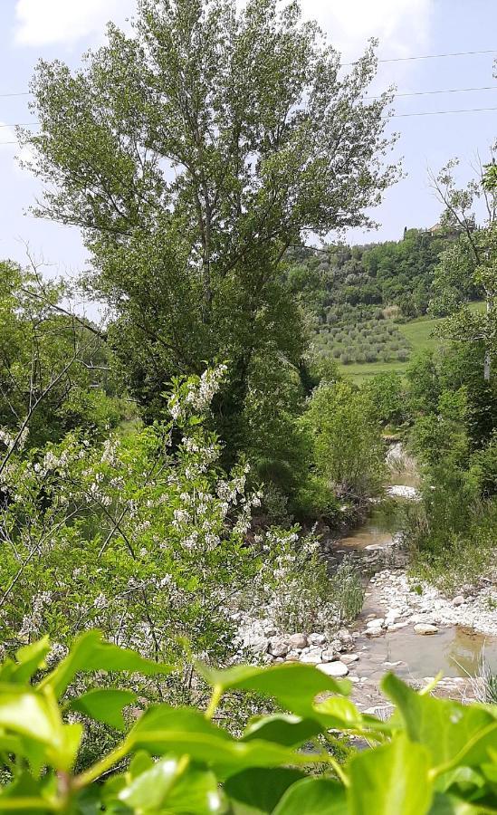 Podere Pian Dei Gelsi فولتيرا المظهر الخارجي الصورة