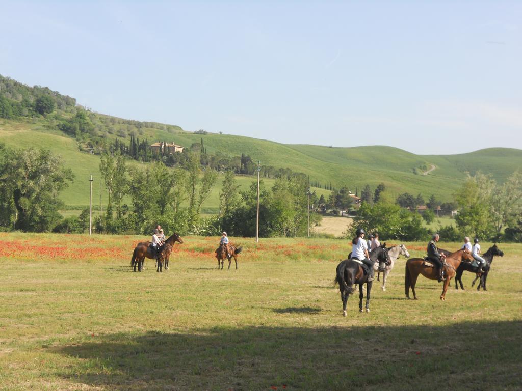 Podere Pian Dei Gelsi فولتيرا المظهر الخارجي الصورة